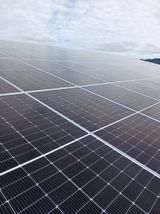 팜모닝 자유주제·자유게시판 게시글 이미지