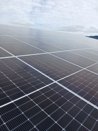 팜모닝회원 최창락 님의 자유주제 · 자유게시판 작성글 사진