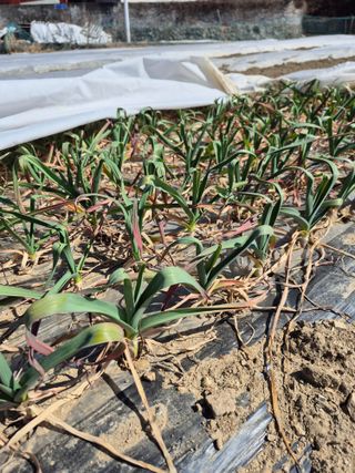 박흠님의 자유주제 · 자유게시판 작성글 사진