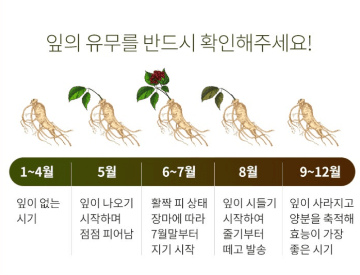 스피드번님의 장터 판매 상품 [기획상품 [산양삼]] 첨부 사진