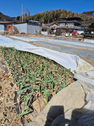 박흠님의 자유주제 · 자유게시판 작성글 사진