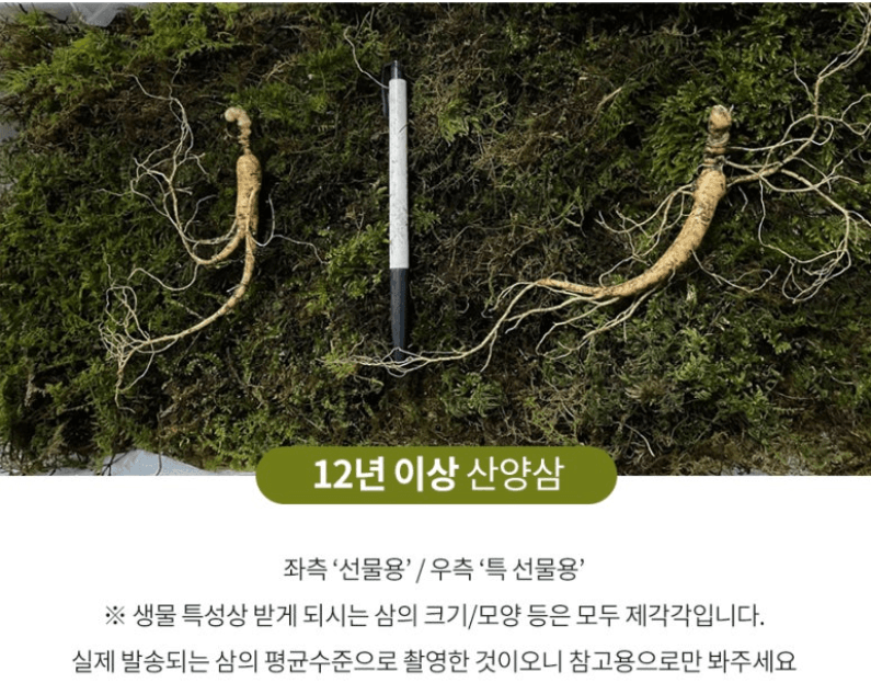 스피드번님의 장터 판매 상품 [기획상품 [산양삼]] 첨부 사진