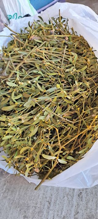 백순분님의 작성글 사진