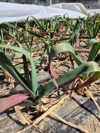 박흠님의 자유주제 · 자유게시판 작성글 사진