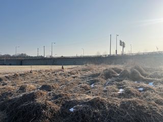 호방한농부님의 자유주제 · 자유게시판 작성글 사진