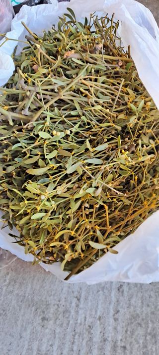 백순분님의 작성글 사진