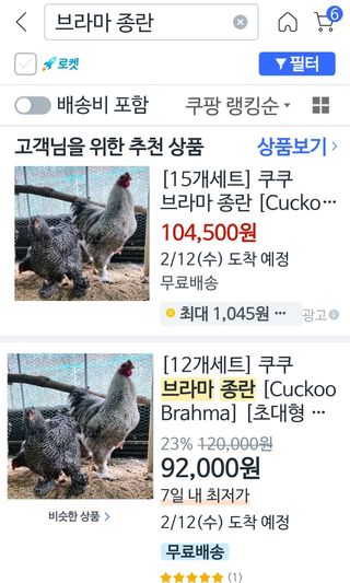 아리엘님의 자유주제 · 자유게시판 작성글 사진