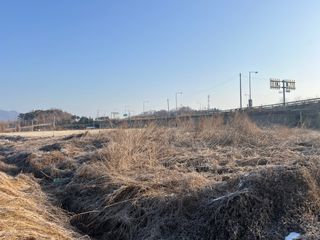 호방한농부님의 자유주제 · 자유게시판 작성글 사진