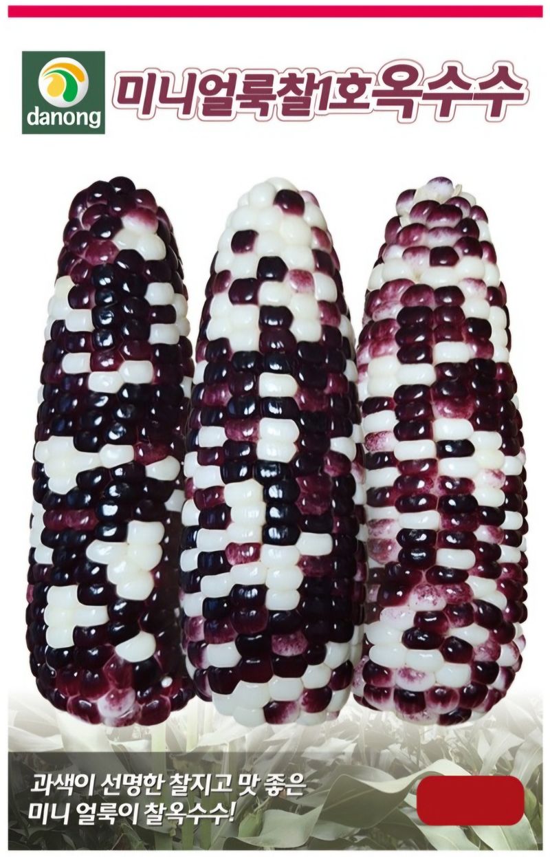 한농농약종묘사님의 장터 판매 상품 [[소형찰옥수수씨앗] 미니찰옥수수] 첨부 사진