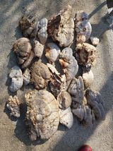 팜모닝 자유주제·사진전 게시글 이미지