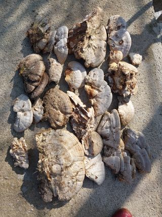 최종기 님의 자유주제 · 사진전 작성글 사진