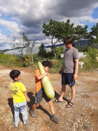 팜모닝회원 최창락 님의 자유주제 · 자유게시판 작성글 사진