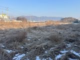 팜모닝 자유주제·자유게시판 게시글 이미지