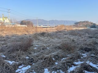 호방한농부님의 자유주제 · 자유게시판 작성글 사진