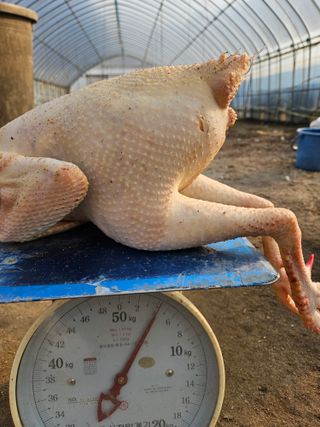 아리엘님의 자유주제 · 자유게시판 작성글 사진