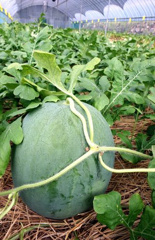 국중선님의 자유주제 · 자유게시판 작성글 사진