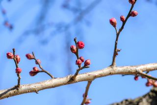 국중선님의 자유주제 · 자유게시판 작성글 사진