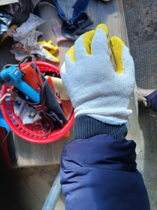 알 수 없음님의 자유주제 · 자유게시판 작성글 사진