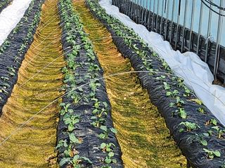 박기철님의 자유주제 · 자유게시판 작성글 사진