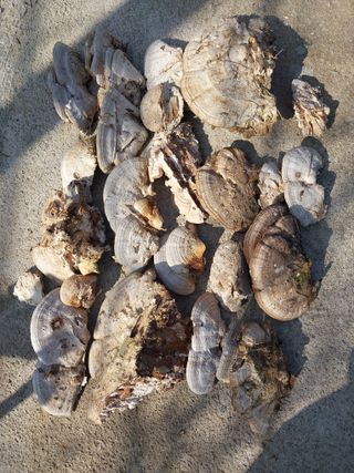 최종기 님의 자유주제 · 사진전 작성글 사진