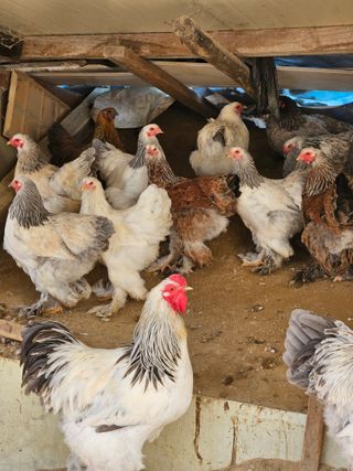 아리엘님의 자유주제 · 자유게시판 작성글 사진