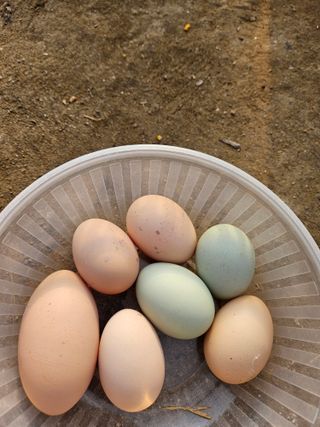 아리엘님의 자유주제 · 자유게시판 작성글 사진