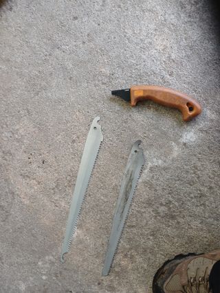 알 수 없음님의 자유주제 · 자유게시판 작성글 사진