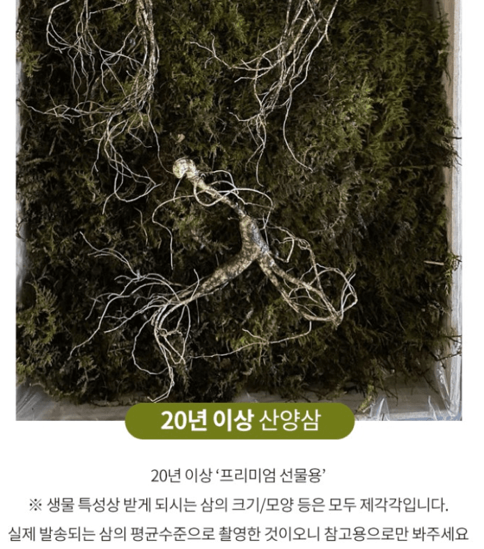 스피드번님의 장터 판매 상품 [기획상품 [산양삼]] 첨부 사진