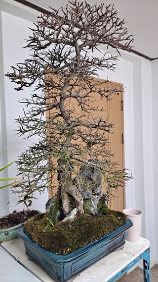 MSG0074님의 자유주제 · 자유게시판 작성글 사진