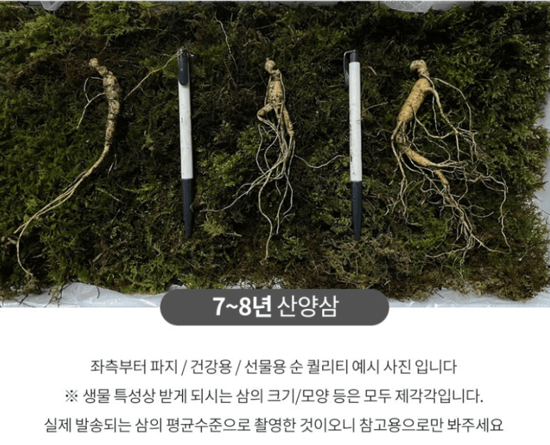 스피드번님의 장터 판매 상품 [기획상품 [산양삼]] 첨부 사진