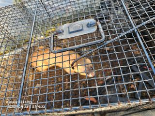 마로니에농원님의 자유주제 · 자유게시판 작성글 사진