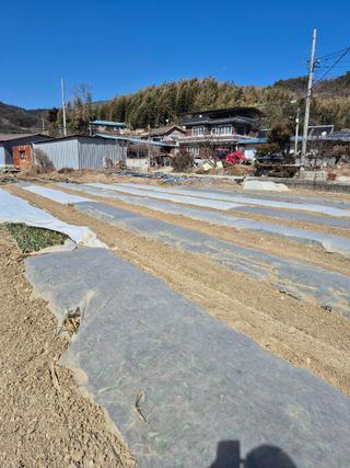 박흠님의 자유주제 · 자유게시판 작성글 사진