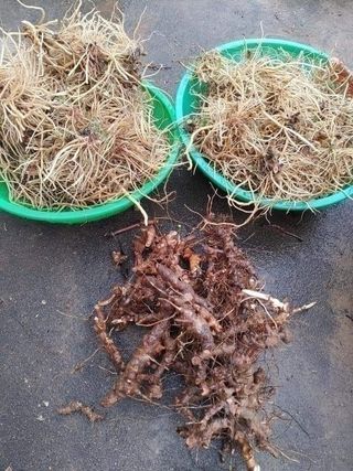 이현상님의 자유주제 · 자유게시판 작성글 사진