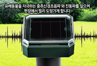 봉주르님의 작성글 사진