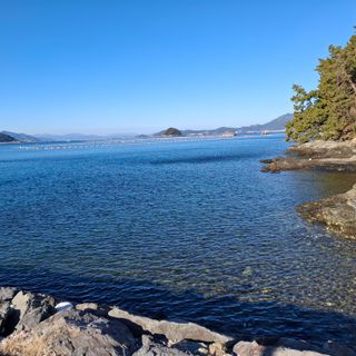 오영도님의 자유주제 · 자유게시판 작성글 사진