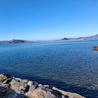 오영도님의 자유주제 · 자유게시판 작성글 사진