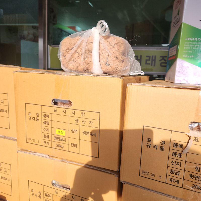 장터 상품 [메주 한말 열장[완판]] 썸네일