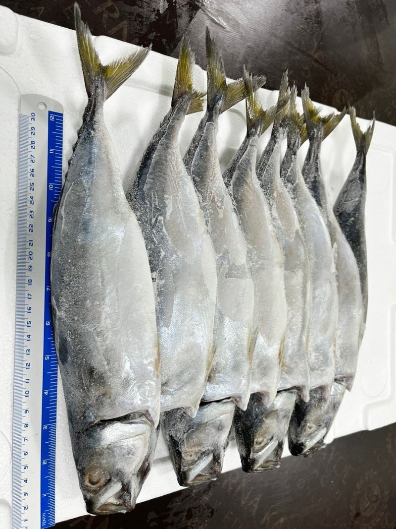 목포 물좋은수산님의 장터 판매 상품 [특대 국산 자반고등어] 첨부 사진