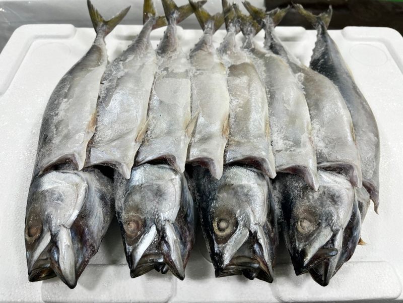 목포 물좋은수산님의 장터 판매 상품 [특대 국산 자반고등어] 첨부 사진