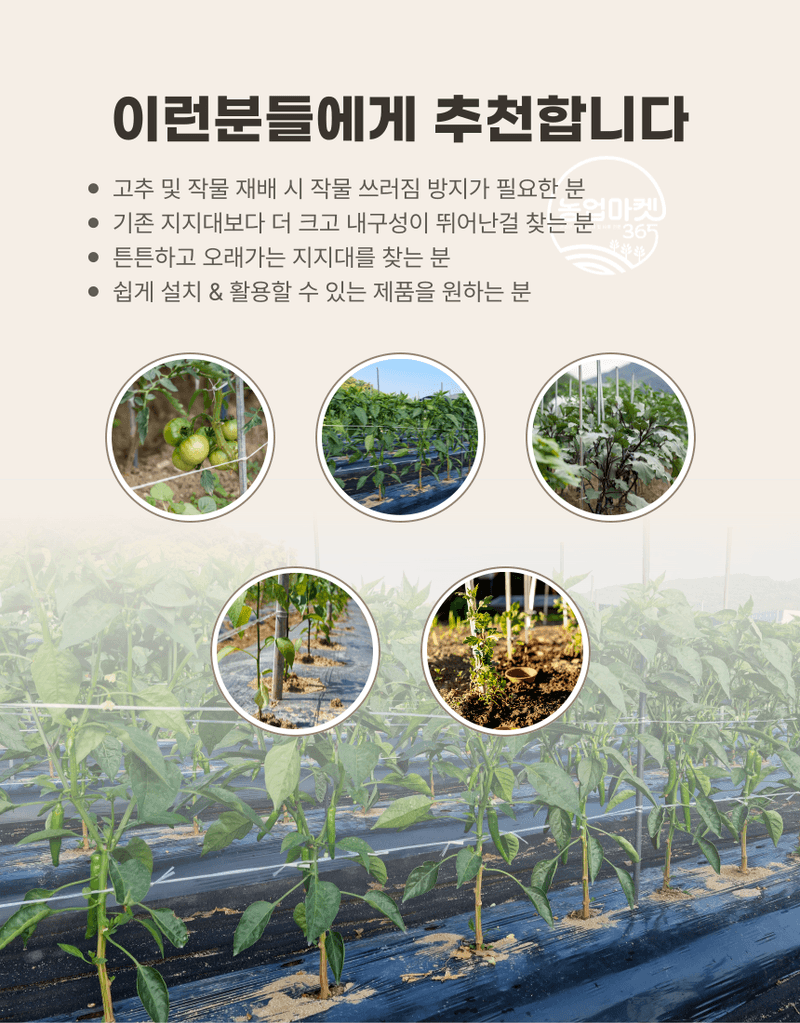 농업마켓365님의 장터 판매 상품 [농업마켓365 국산 고추지지대 1M 100개 엠보싱지지대] 첨부 사진