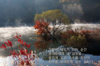 젠틀맨님의 자유주제 · 자유게시판 작성글 사진