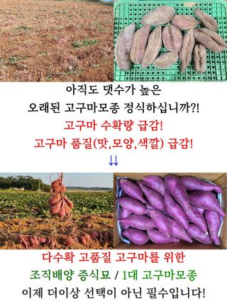 김동수님의 작성글 사진
