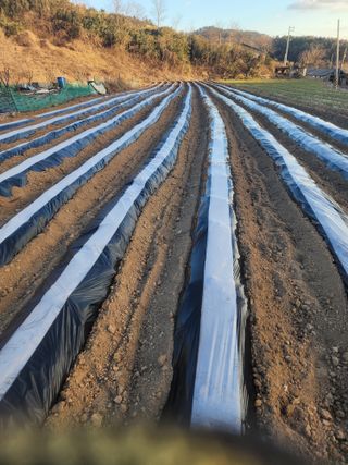 박정석님의 자유주제 · 자유게시판 작성글 사진