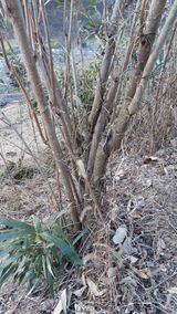 팜모닝 농사, 무엇이든 물어보세요!·참여글 게시글 이미지