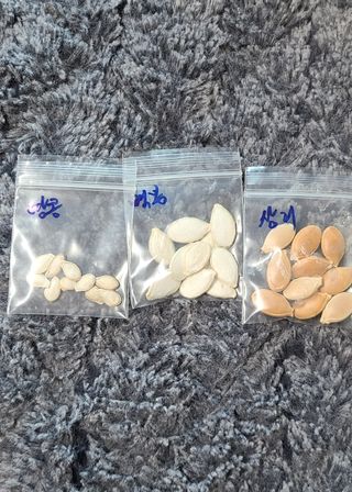 풀잎사랑님의 자유주제 · 칭찬해요 작성글 사진