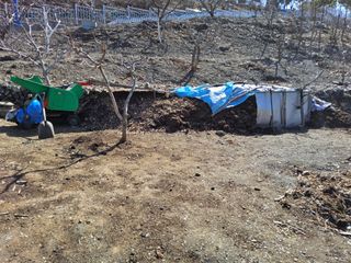 김용대님의 자유주제 · 자유게시판 작성글 사진