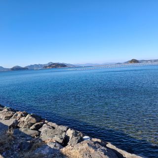 오영도님의 자유주제 · 자유게시판 작성글 사진