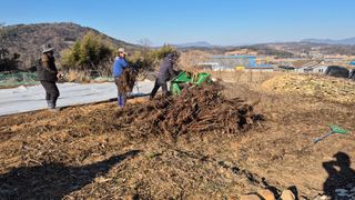 부채도사님의 자유주제 · 자유게시판 작성글 사진