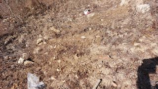 최종권님의 농사, 무엇이든 물어보세요! · 참여글 작성글 사진