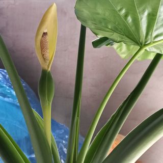 박철용 님의 자유주제 · 자유게시판 작성글 사진